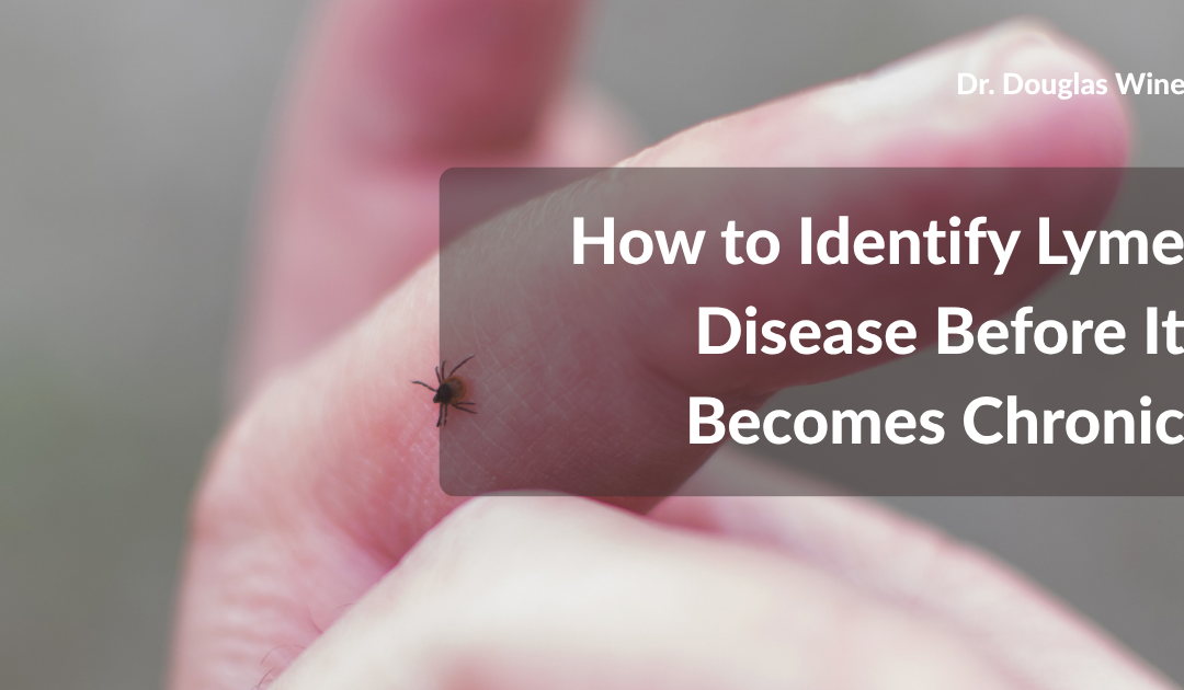 How to Identify Lyme Disease Before It Becomes Chronic