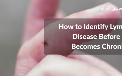How to Identify Lyme Disease Before It Becomes Chronic
